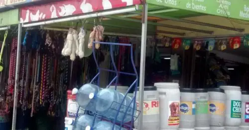 CONSENTIDOS CANINOS BOGOTÁ CONSENTIDOS CANINOS BOGOTÁ